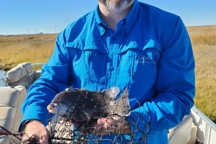 a man holding an animal